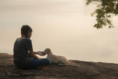 Dog sitting on rock against sky during sunset