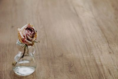 Close-up of flower on table