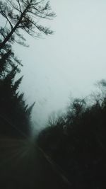 Road amidst trees against clear sky