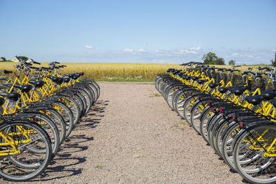 Bikes at bike hire station