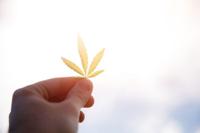 Close-up of hand holding leaves against sky