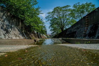 Canal amidst trees against sky