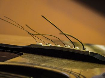 Close-up of cropped car