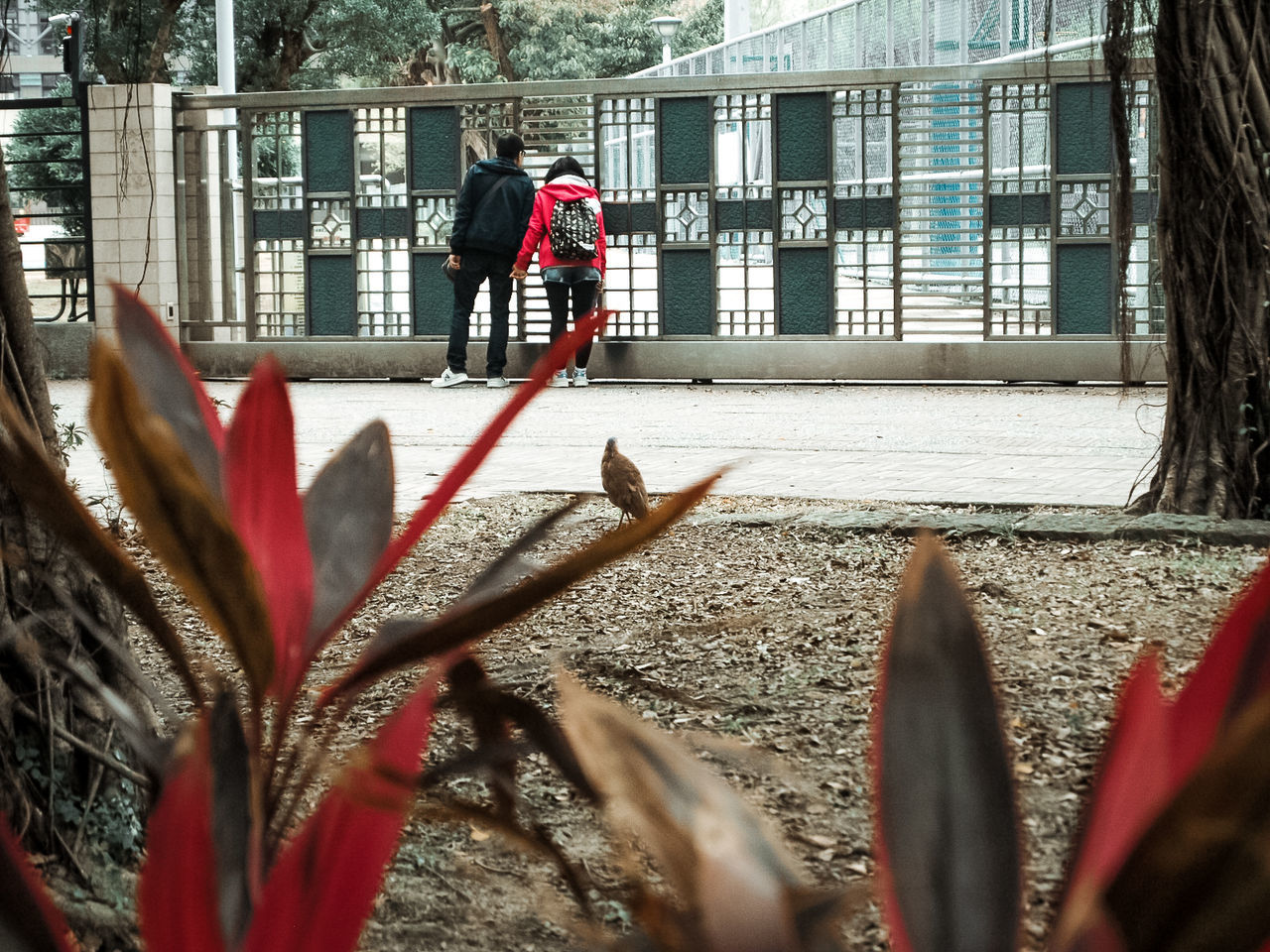 built structure, architecture, city, day, nature, selective focus, building exterior, real people, plant, people, sunlight, walking, full length, focus on background, flowering plant, growth, outdoors, flower, men