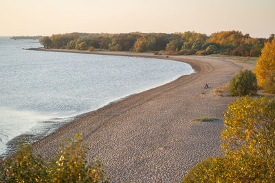 Lake coastline. coastal autumn forest along the sandy beach of baltic sea at sunset. drone photo.