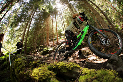 Man riding bicycle in forest