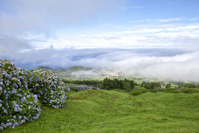 Scenic view of landscape against sky