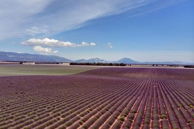 Scenic view of land against sky