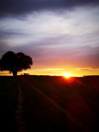 Silhouette trees on field against sky during sunset