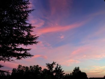 Low angle view of silhouette trees against sky at sunset