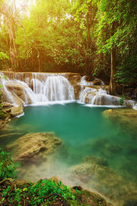 Scenic view of waterfall in forest