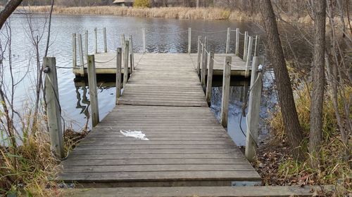 Boardwalk by lake