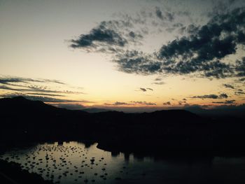 Silhouette birds against sky during sunset