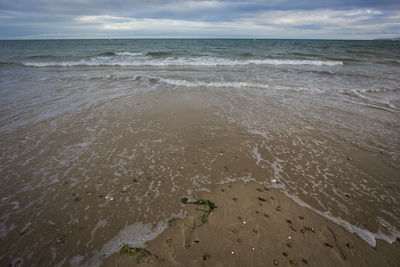 Scenic view of beach against sky