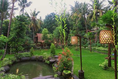 Swimming pool by trees against sky