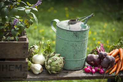 Vegetables in garden