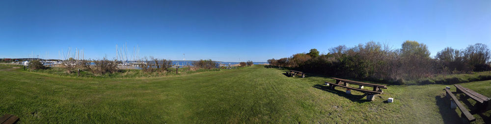 Scenic view of grassy field against blue sky