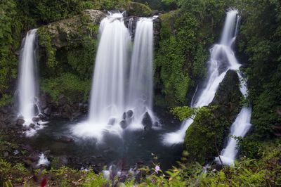 View of waterfall in forest