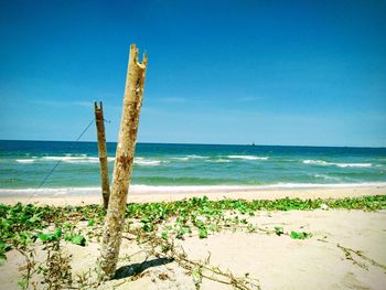 Scenic view of beach against clear blue sky