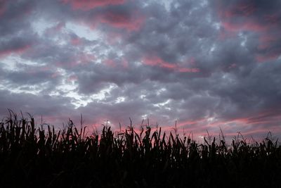 Silhouette of field against sky at sunset