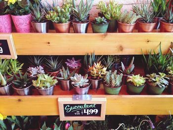 Market stall for sale