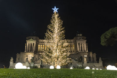 Illuminated christmas tree at night