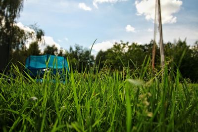 Scenic view of grassy field against sky