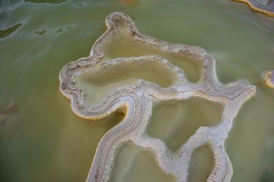 High angle view of snake on lake