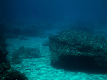 Abandoned swimming in sea