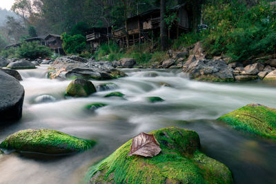 Scenic view of waterfall in forest