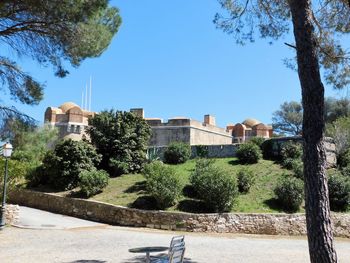 Trees and buildings against blue sky