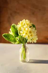 Close-up of yellow flower in vase on table