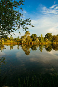 Scenic view of lake in forest against sky