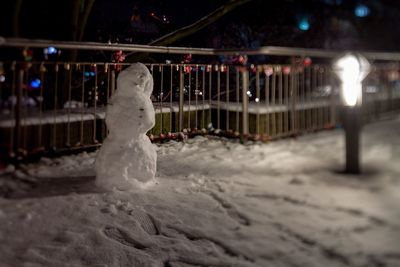 Snow covered land at night