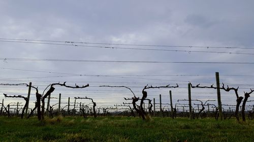 View of landscape against sky
