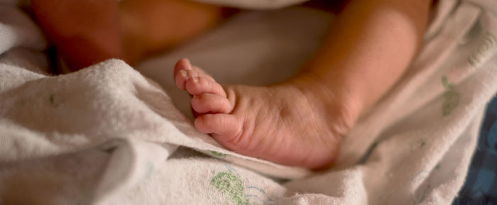 Midsection of baby boy on bed