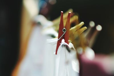 Close-up of clothespins on clothesline