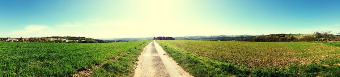 Dirt road passing through field