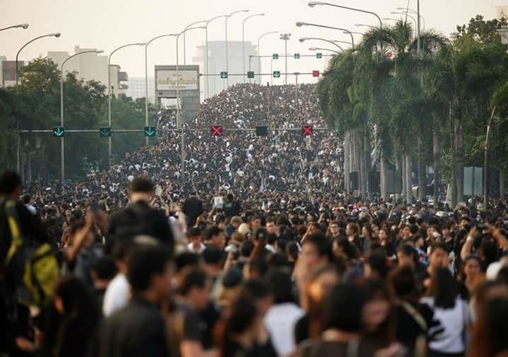 large group of people, crowd, building exterior, city, architecture, tree, built structure, togetherness, city life, sport, selective focus, spectator, competition, city street, protest, outdoors, teamwork, playing field, person, day