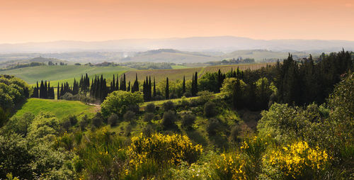 Scenic view of landscape against sky during sunset