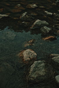 High angle view of rocks on shore