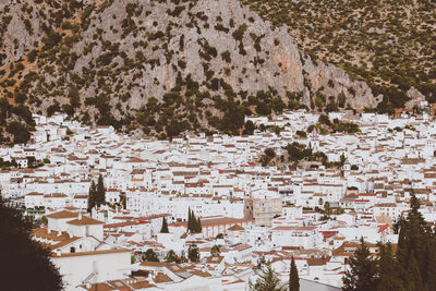 High angle view of tree and buildings in town