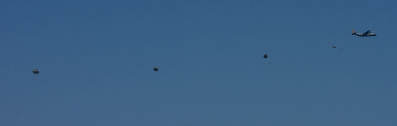Low angle view of birds flying in sky