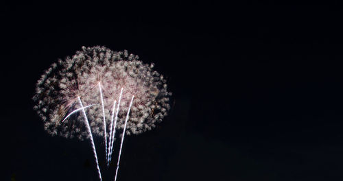 Low angle view of firework display over black background