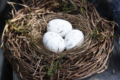 Eggs in the nest decoration