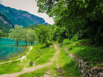 Scenic view of lake by trees against sky