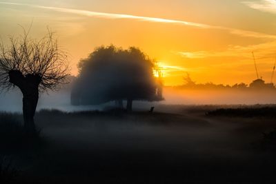 Silhouette of trees on landscape at sunset