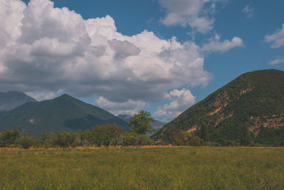 environment