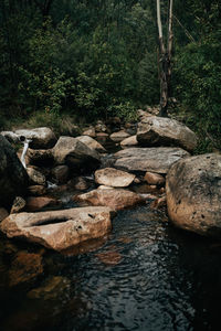 Water flowing through rocks in forest