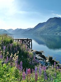 Scenic view of lake against cloudy sky